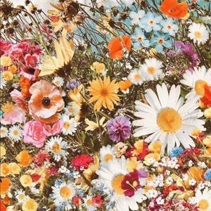 Meet your Posher, Mindy